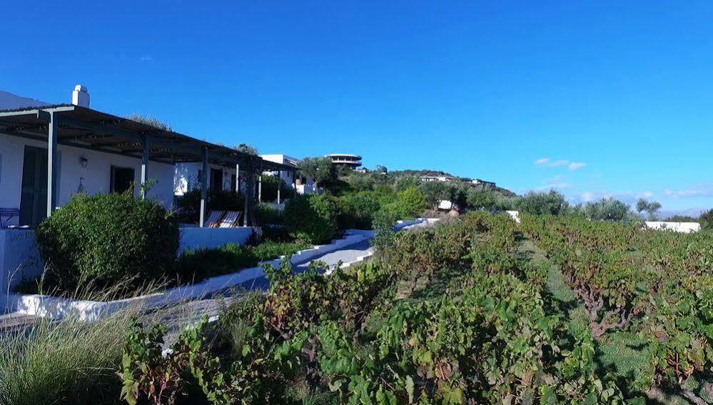 Niriides Villas Selinitsa ภายนอก รูปภาพ